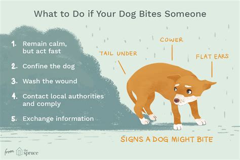 why a dog bites its owner